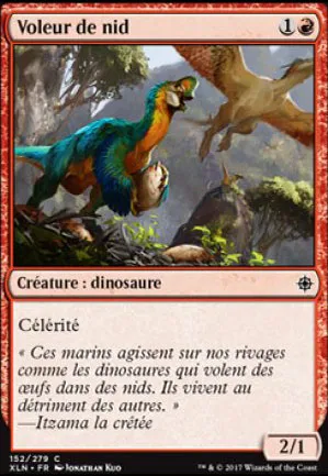 Voleur de nid