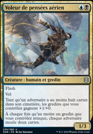 Voleur de pensées aérien