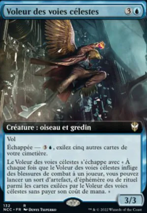 Voleur des voies célestes