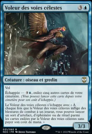 Voleur des voies célestes