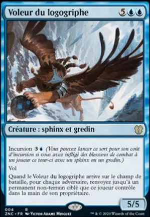 Voleur du logogriphe