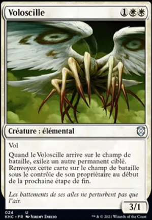 Voloscille