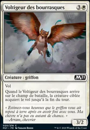 Voltigeur des bourrasques