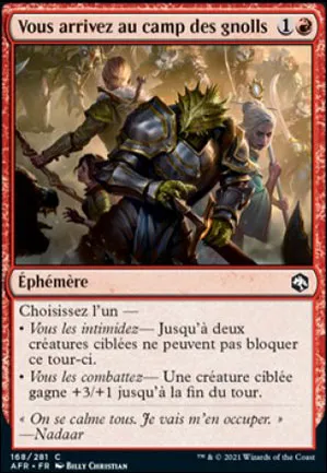 Vous arrivez au camp des gnolls