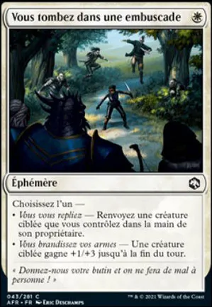 Vous tombez dans une embuscade