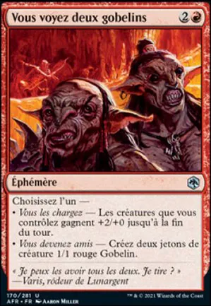 Vous voyez deux gobelins