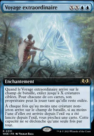Voyage extraordinaire