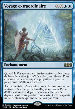 Voyage extraordinaire