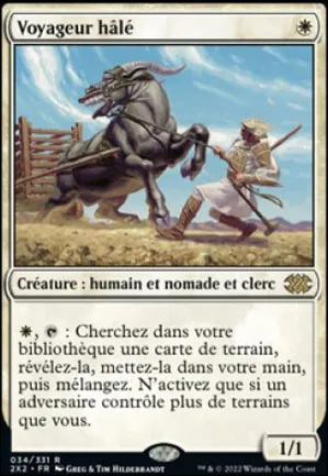 Voyageur hâlé