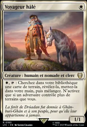 Voyageur hâlé