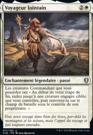 Voyageur lointain