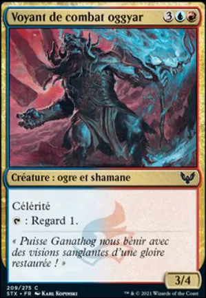 Voyant de combat oggyar