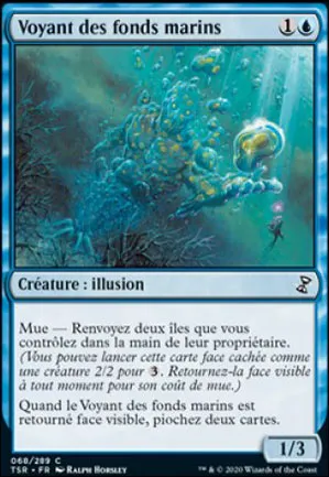 Voyant des fonds marins
