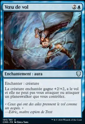 Vœu de vol