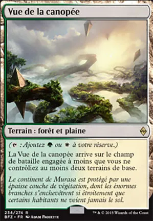 Vue de la canopée
