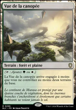 Vue de la canopée