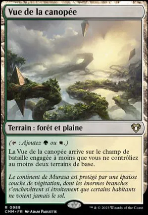 Vue de la canopée