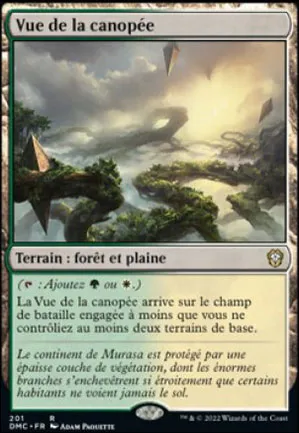 Vue de la canopée