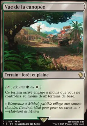 Vue de la canopée