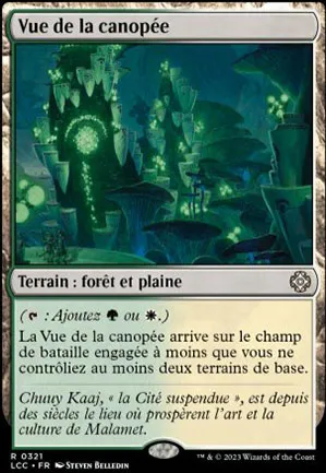 Vue de la canopée