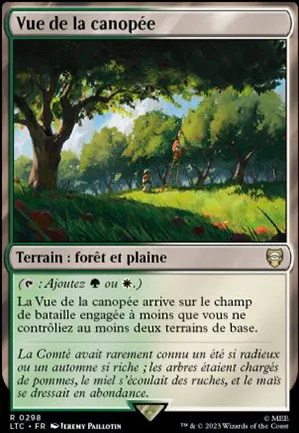 Vue de la canopée