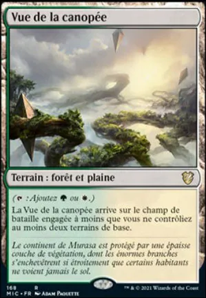 Vue de la canopée