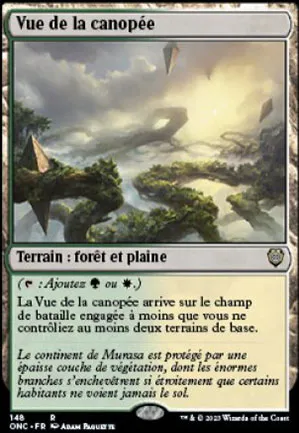 Vue de la canopée