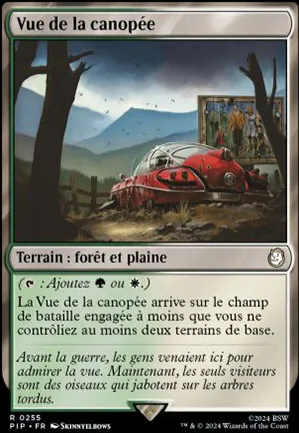 Vue de la canopée