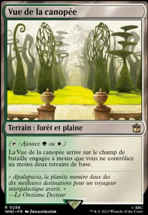 Vue de la canopée