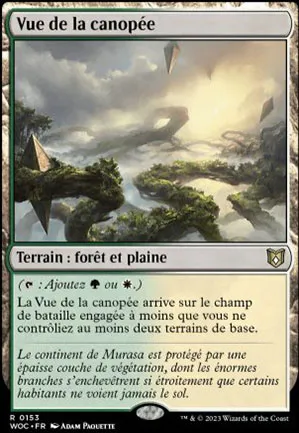 Vue de la canopée