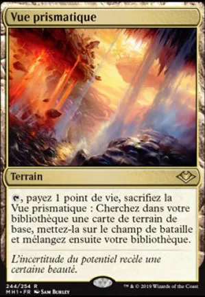 Vue prismatique