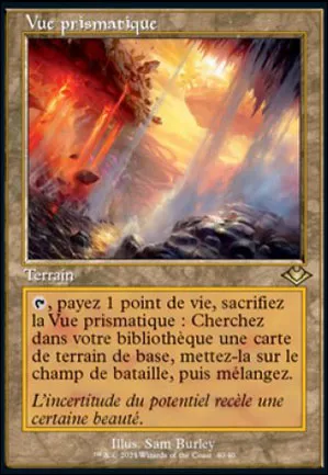Vue prismatique