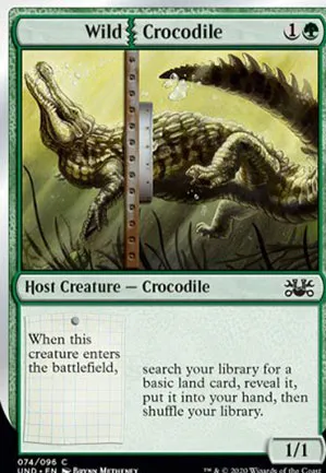 Wild Crocodile
