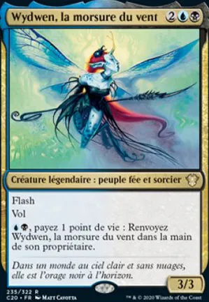 Wydwen, la morsure du vent