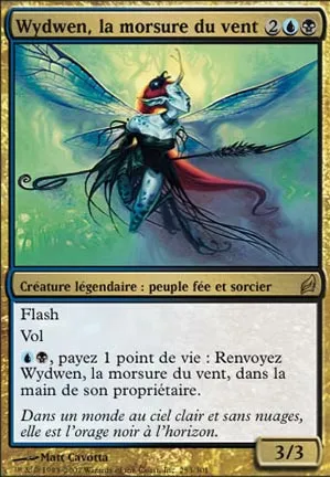 Wydwen, la morsure du vent