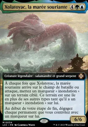 Xolatoyac, la marée souriante