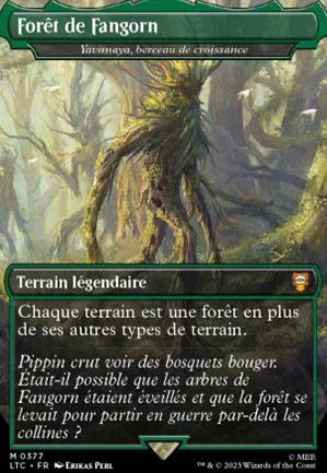 Yavimaya, berceau de croissance