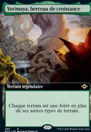 Yavimaya, berceau de croissance