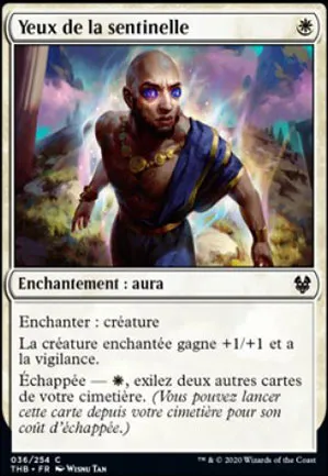 Yeux de la sentinelle