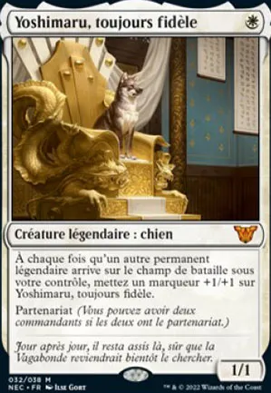 Yoshimaru, toujours fidèle