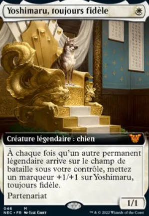 Yoshimaru, toujours fidèle