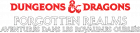 Dungeons & Dragons Forgotten Realms