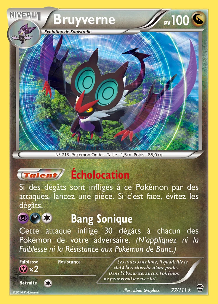 Bruyverne