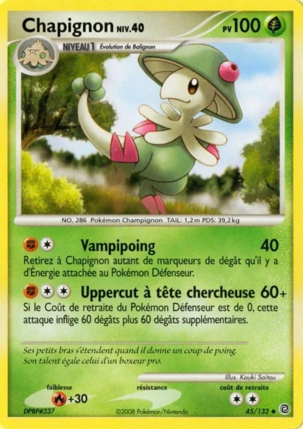 Chapignon