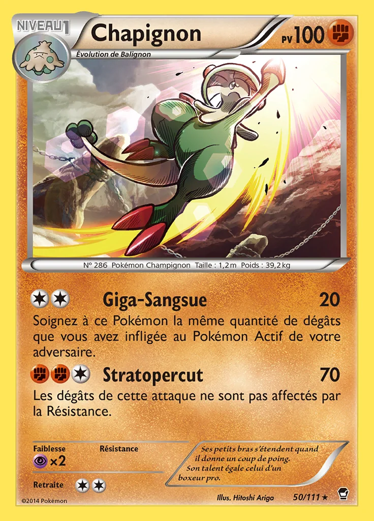 Chapignon