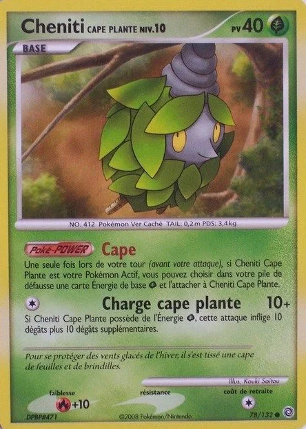 Cheniti Cape Plante