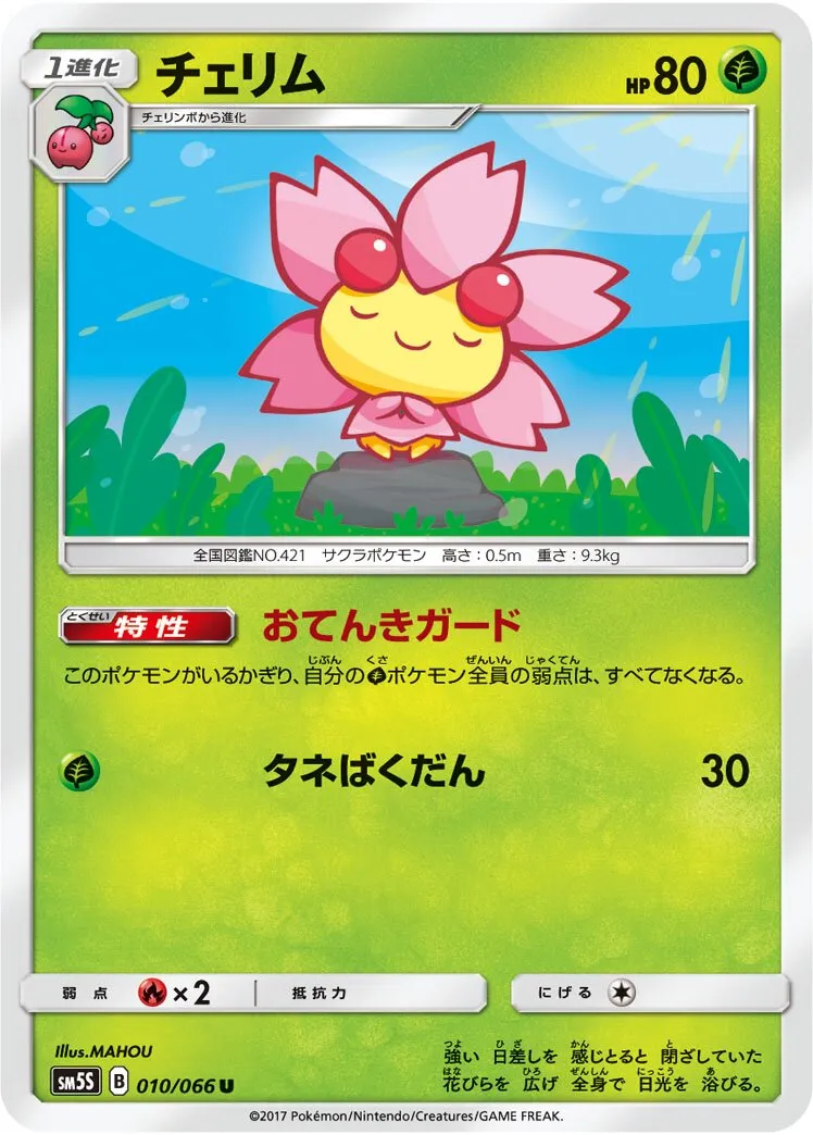Ceriflor