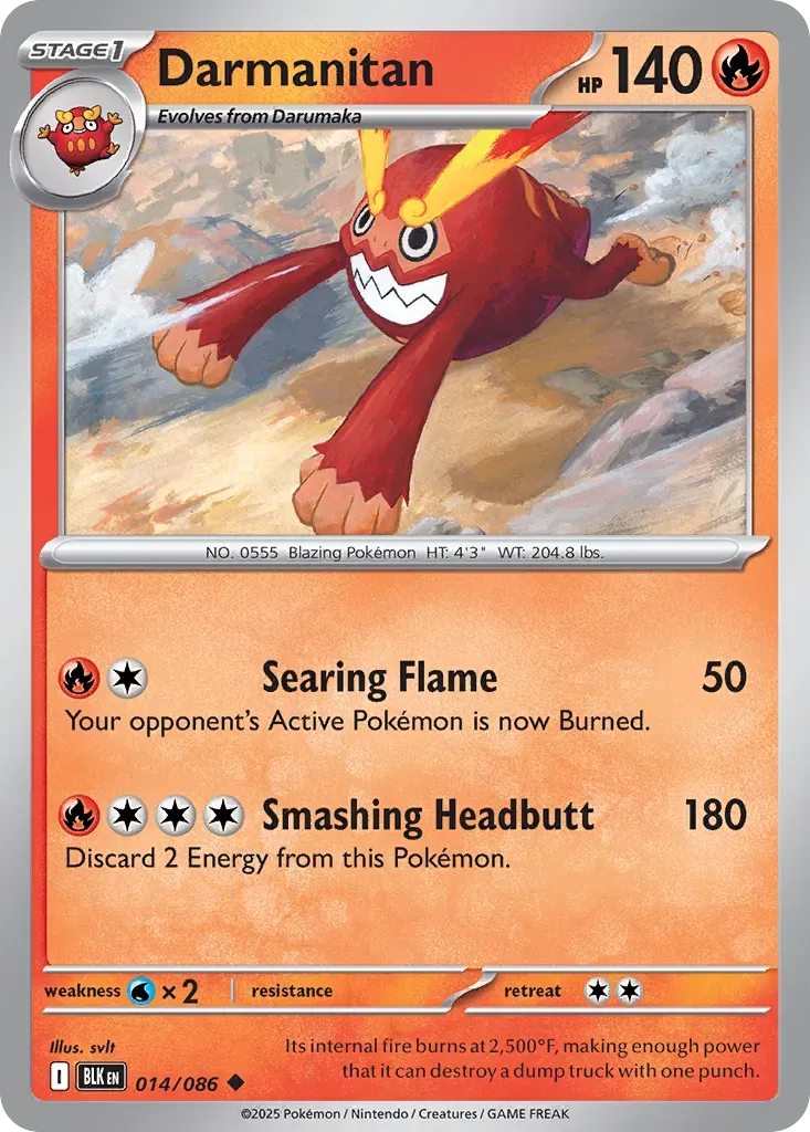 Darumacho