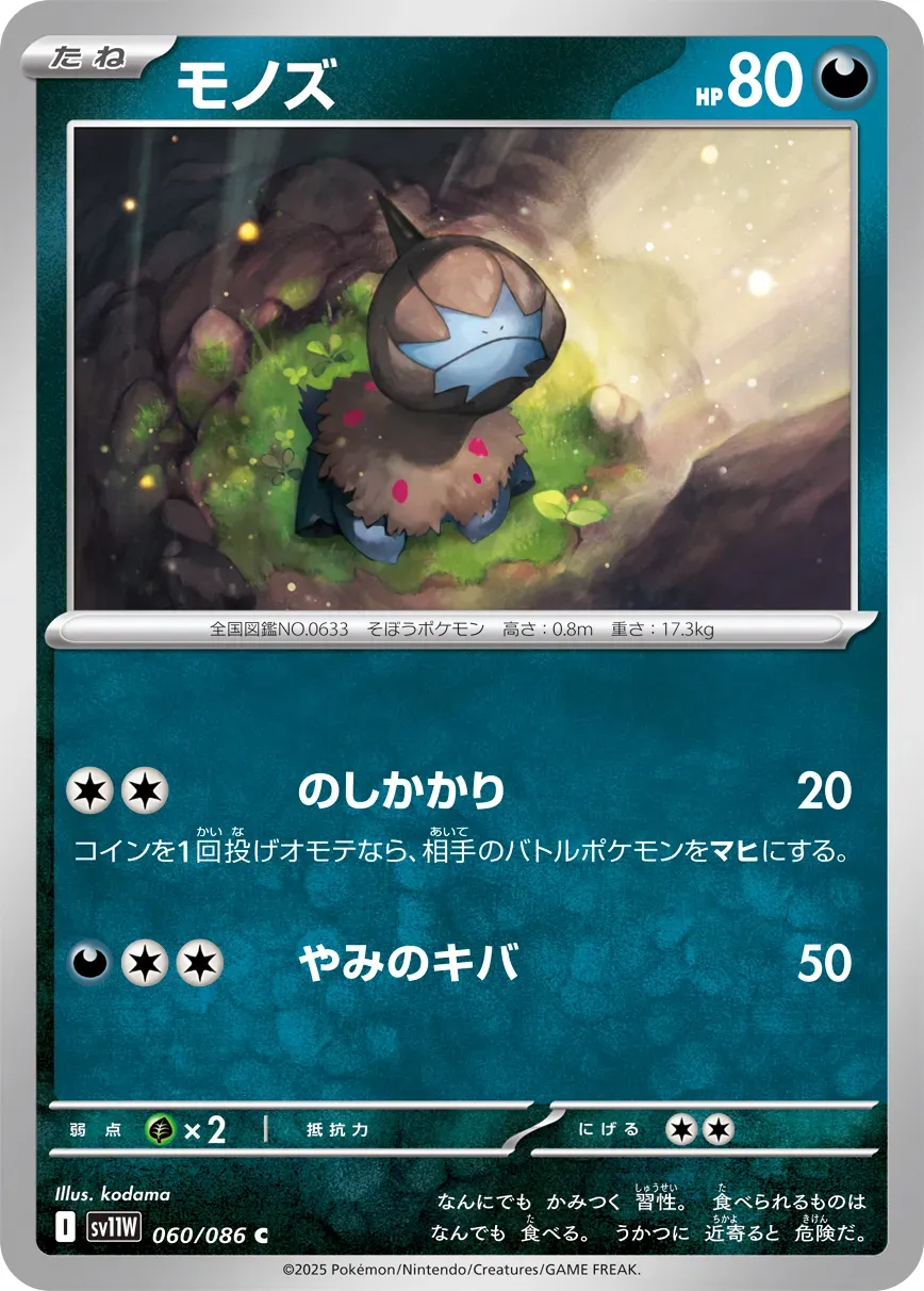 Solochi