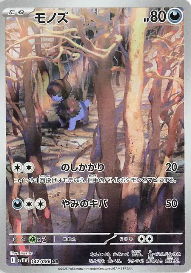 Solochi